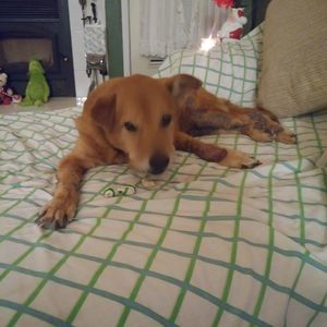 Meet your Posher, Lori